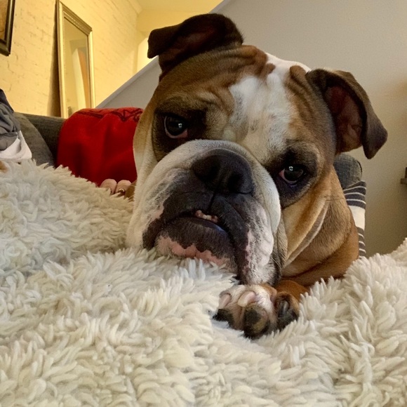 Meet your Posher, April - Picture 2 of 2